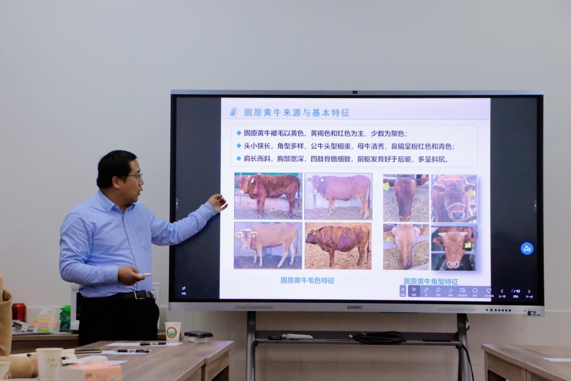 4a69a0ab6cd5acd4455273916172fc5